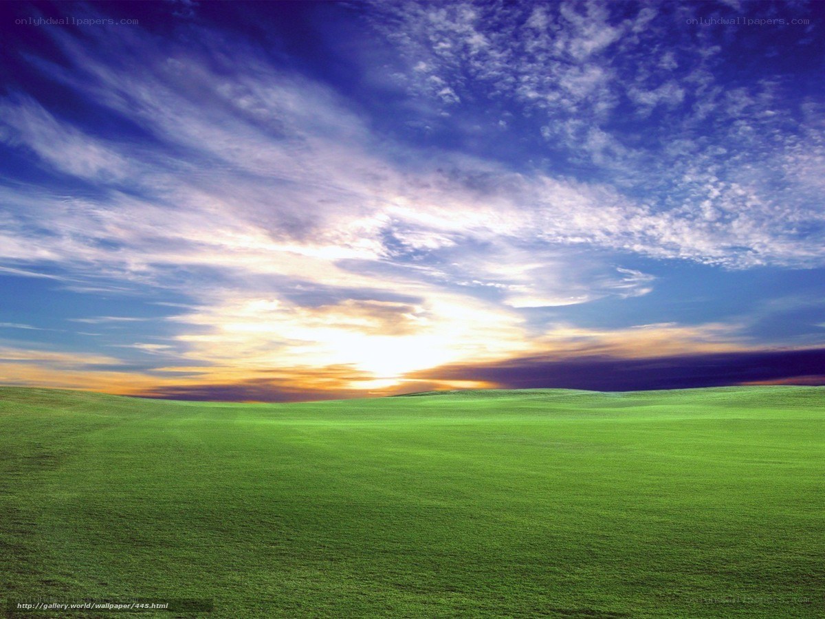Green field at sunset