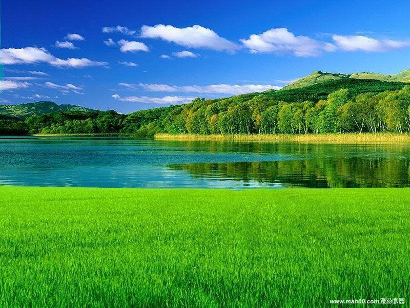 Green field by a lake