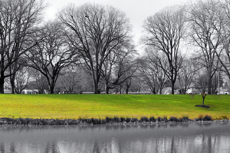 Green Field by Lake