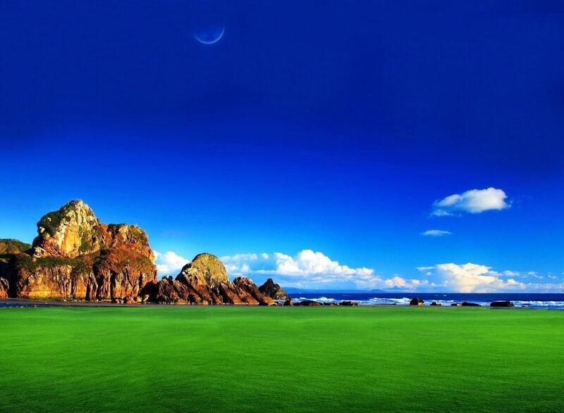 Green field by the sea