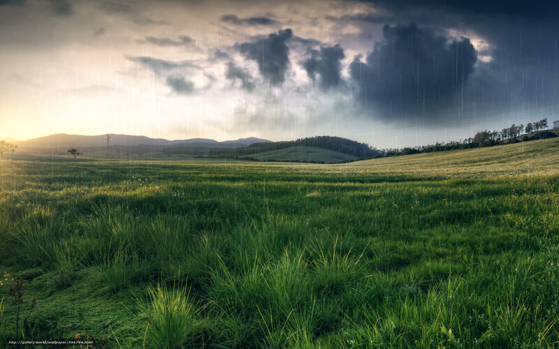 Green Field During Rain