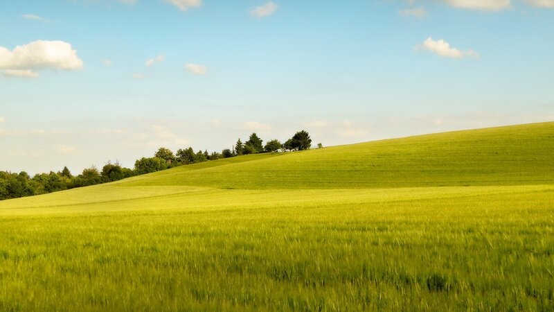 Green Field on Hill