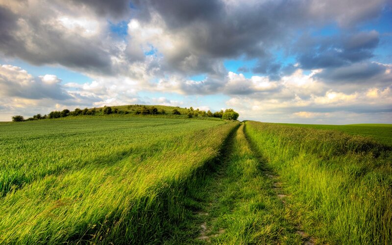 Green Field Path — Dramatic, Afternoon, Photograph, Hills