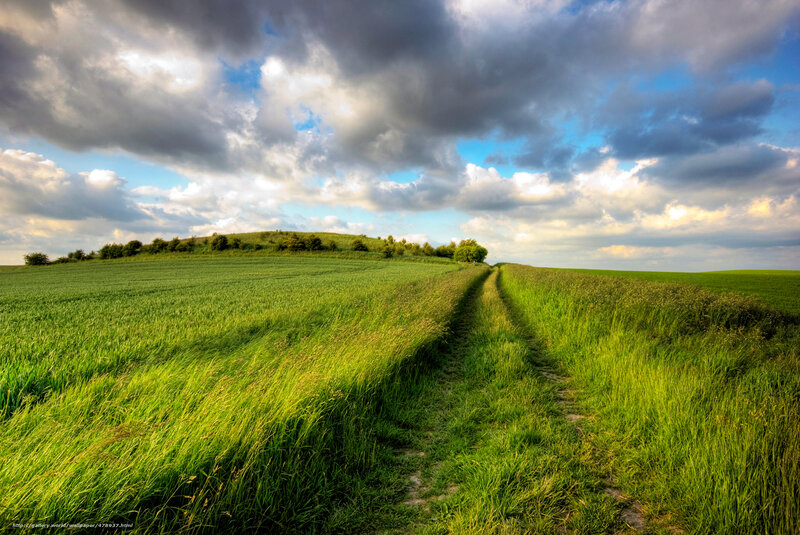 Green Field Path — Dramatic, Afternoon