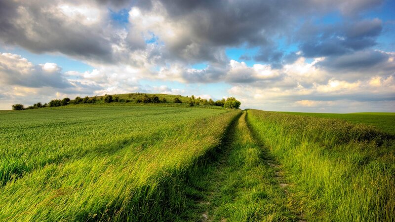 Green Field Path — Dramatic