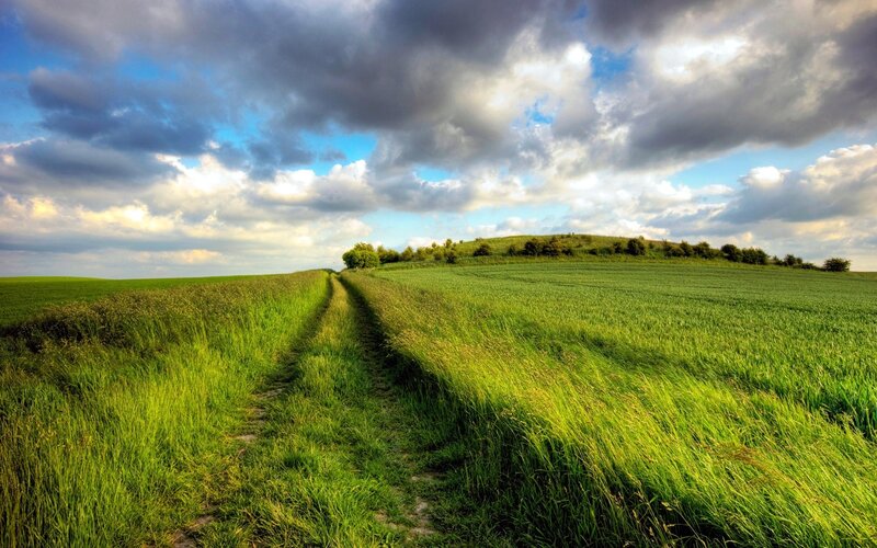 Green field path under cloudy sky