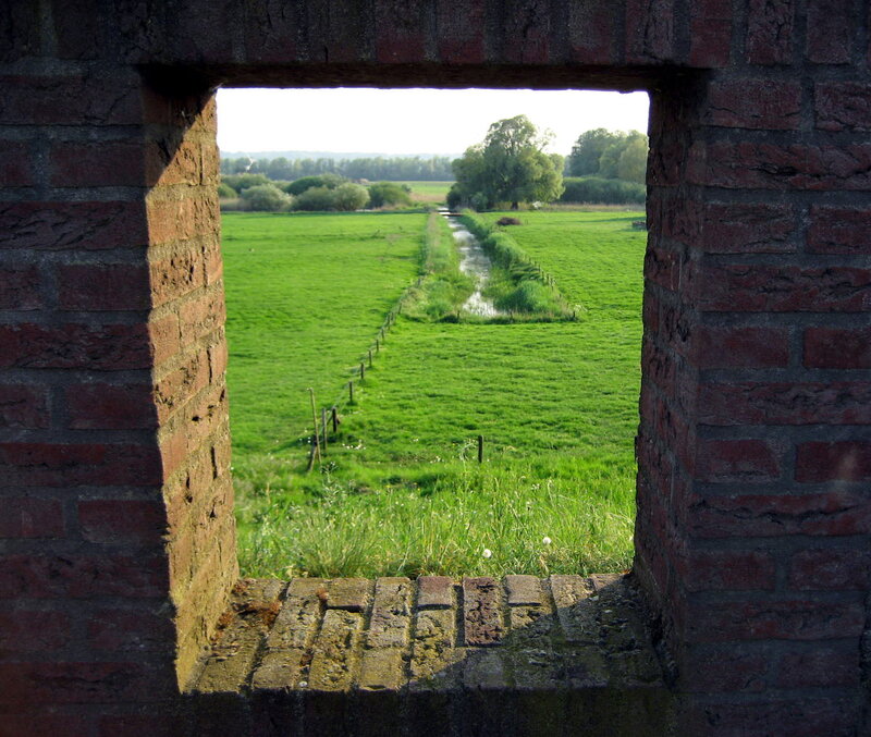 Green Field Through Window — Serene