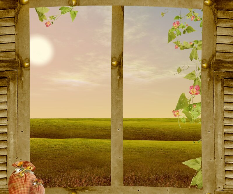 Green Field Through Window