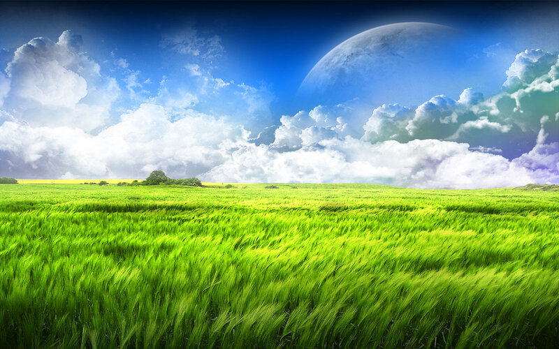 Green field under alien sky