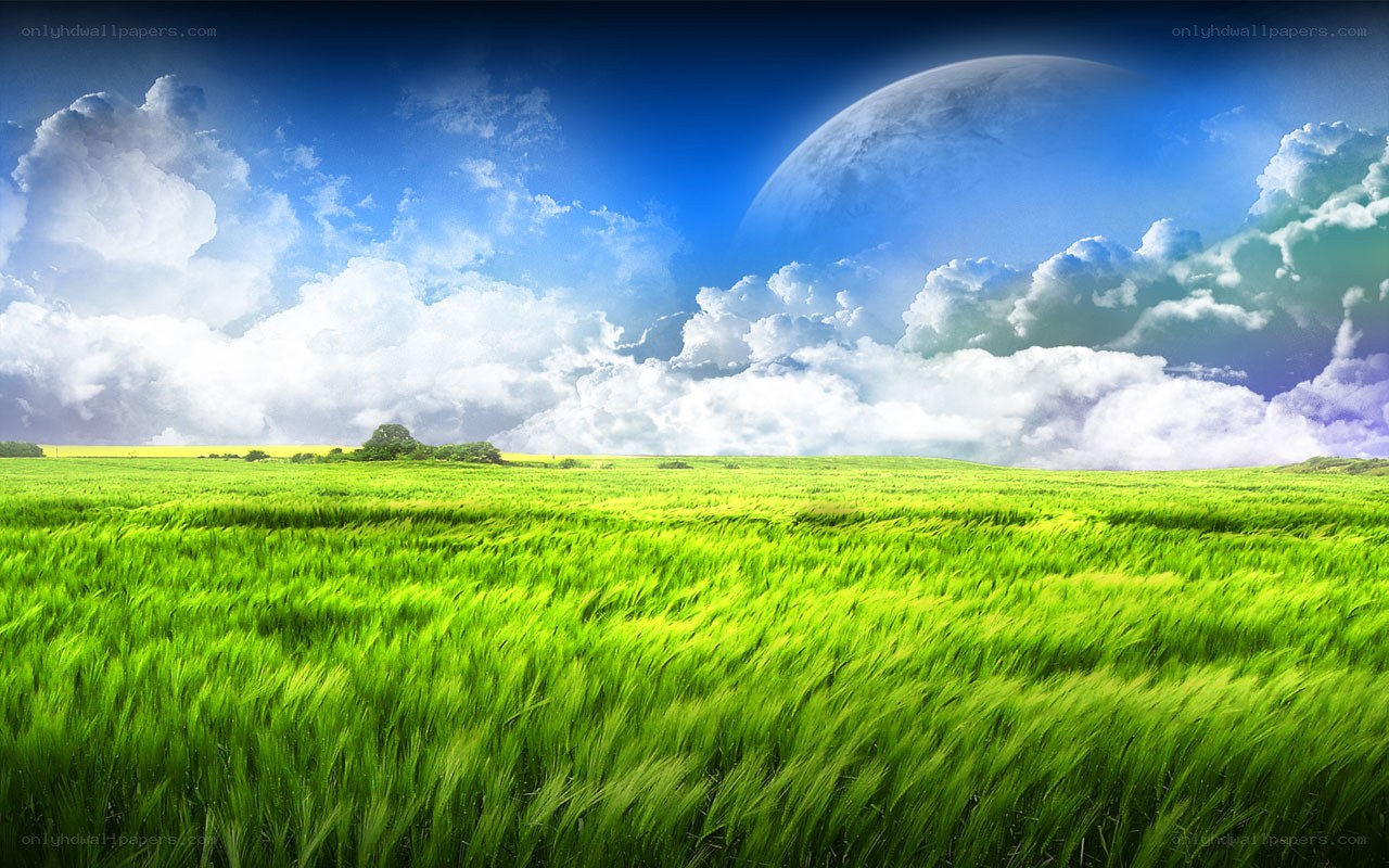 Green field under alien sky