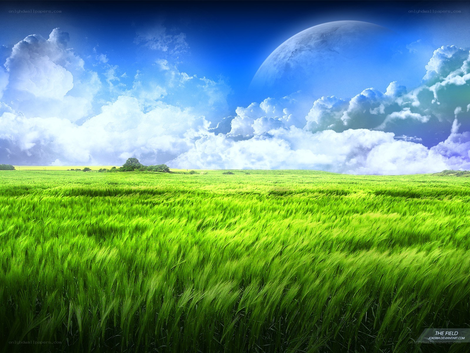 Green field under alien sky