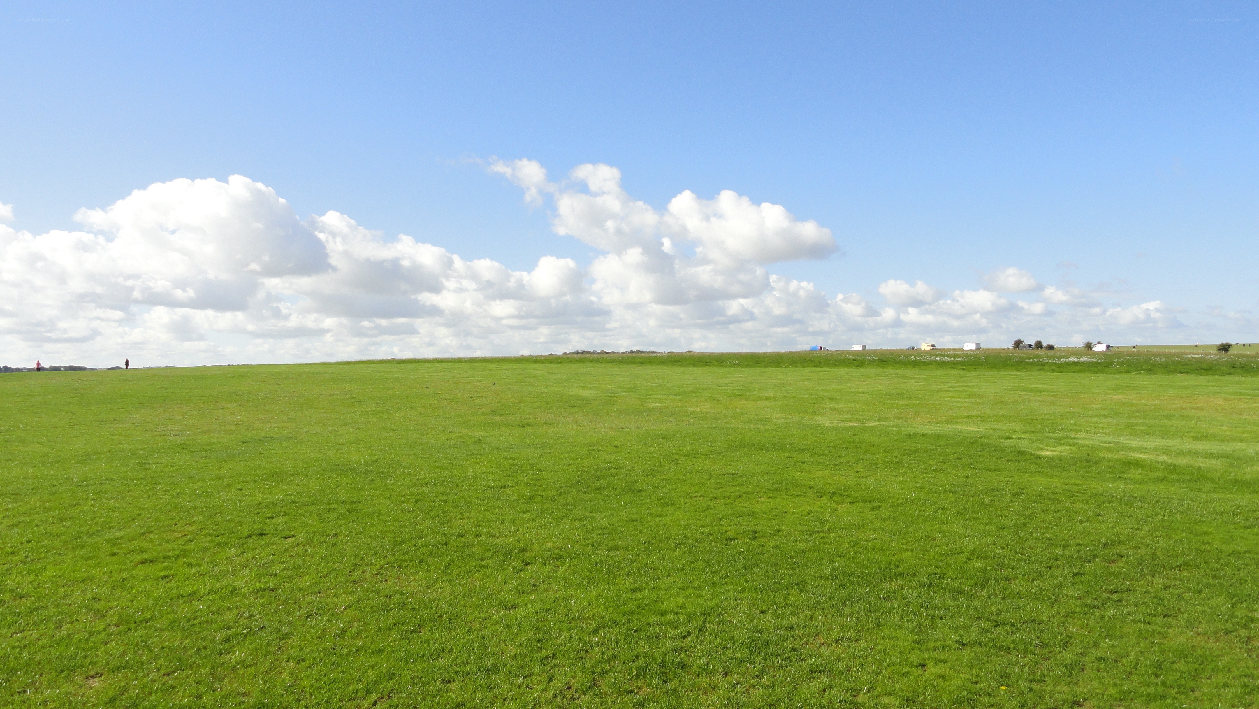 green field under blue sky