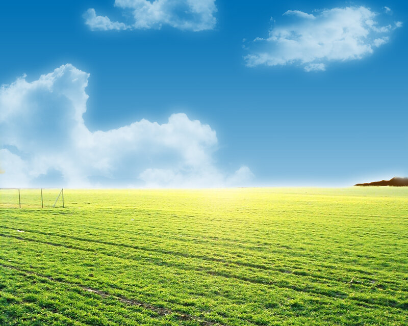 Green field under blue sky