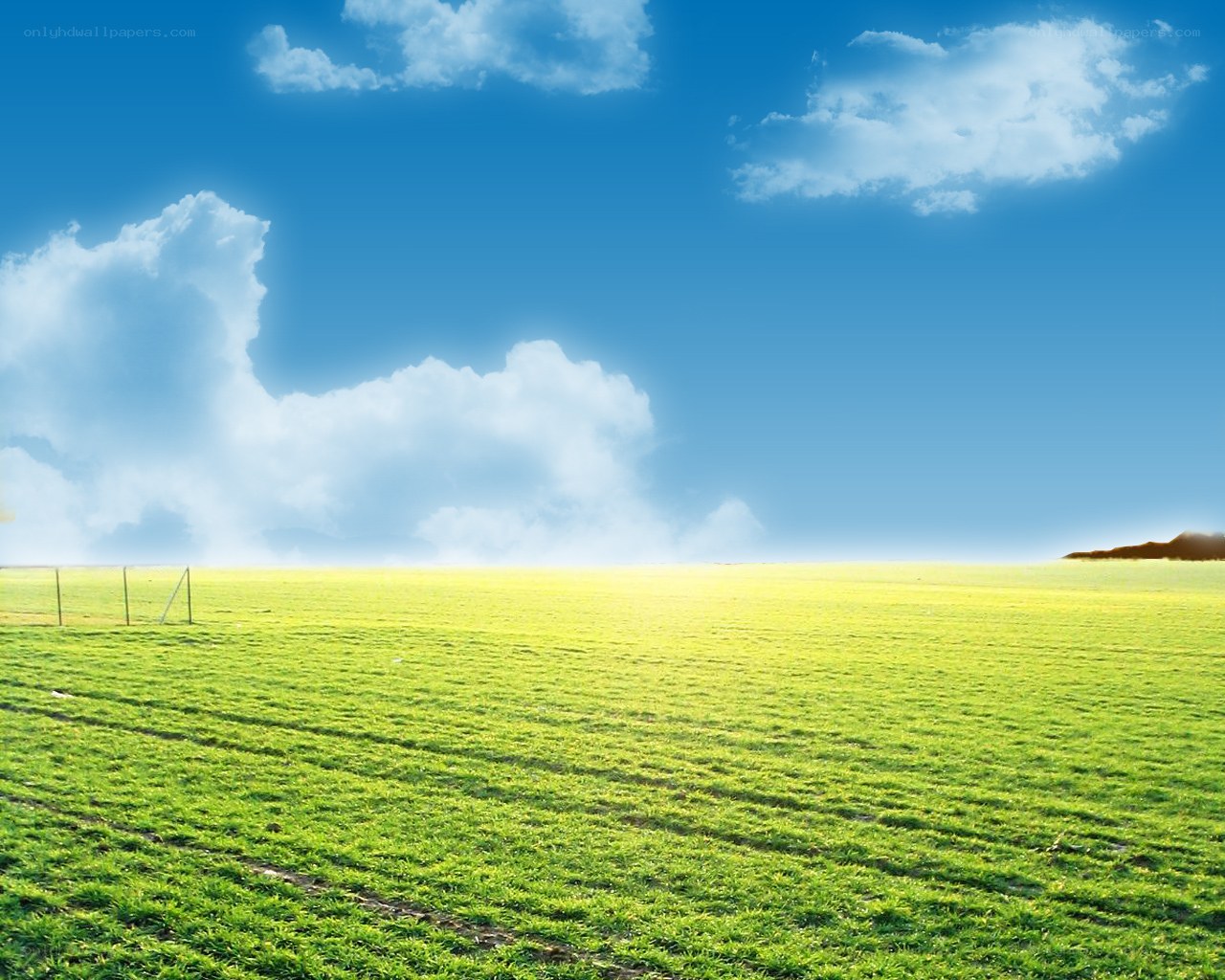 Green field under blue sky