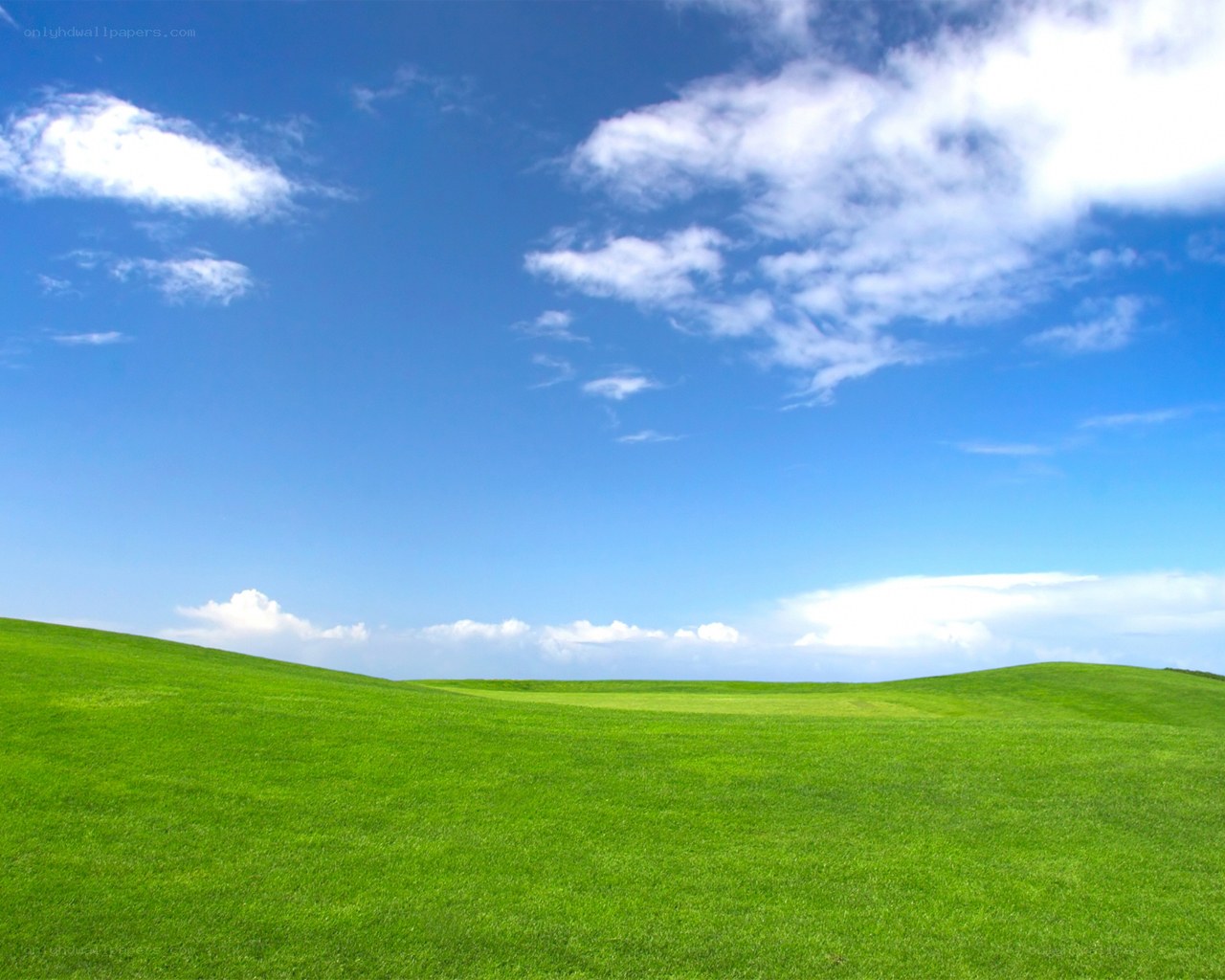 green field under blue sky