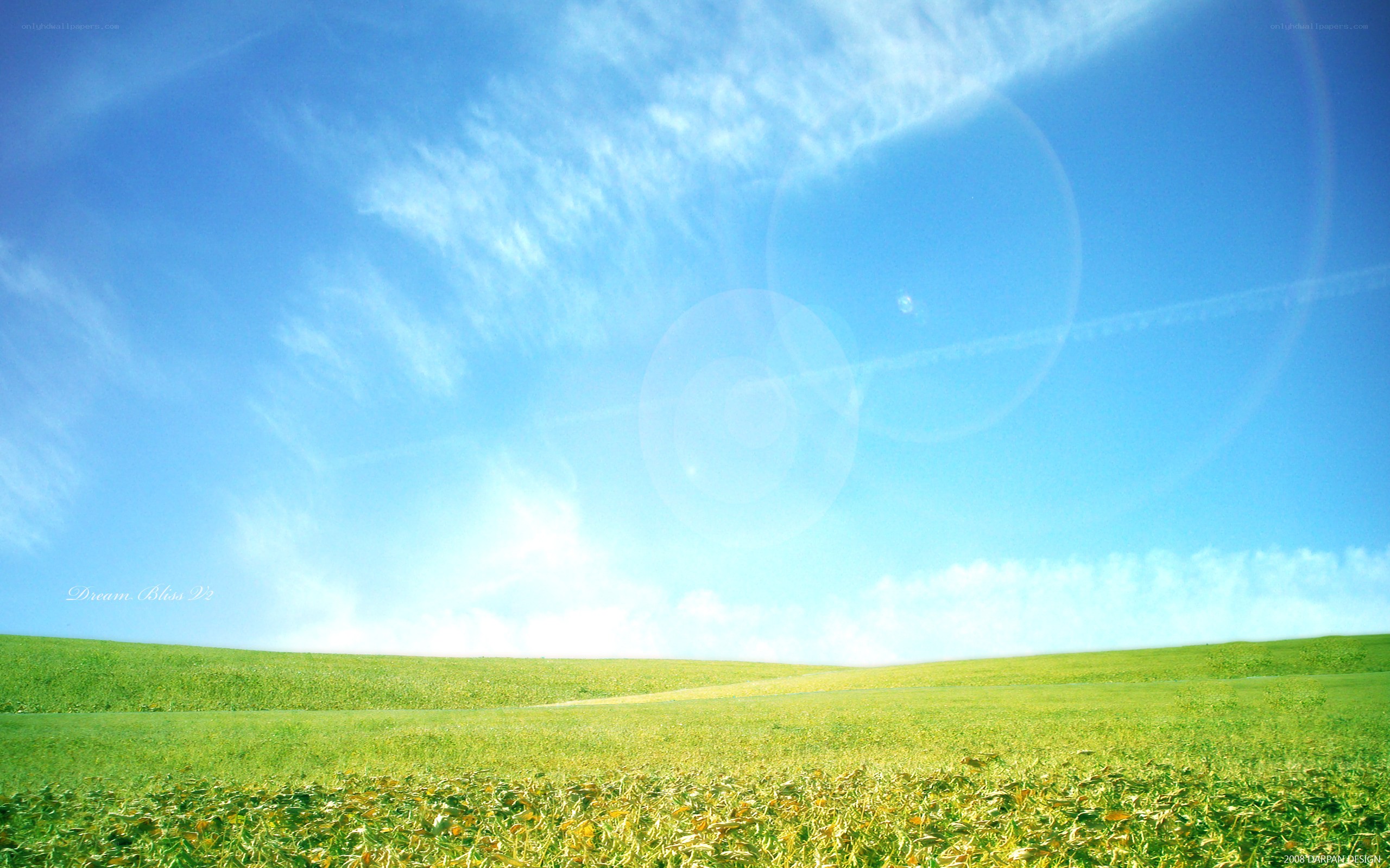 Green field under blue sky