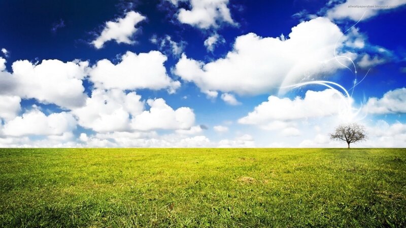 Green field under blue sky