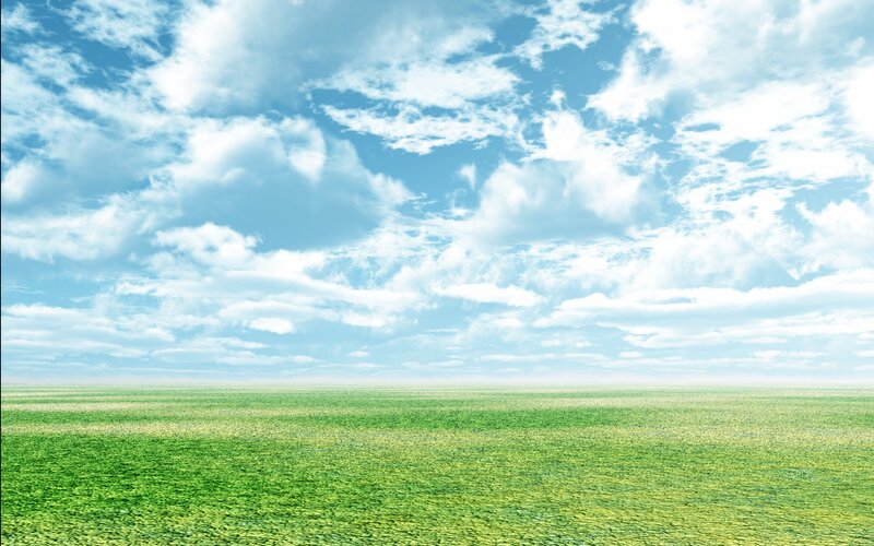 Green field under blue sky