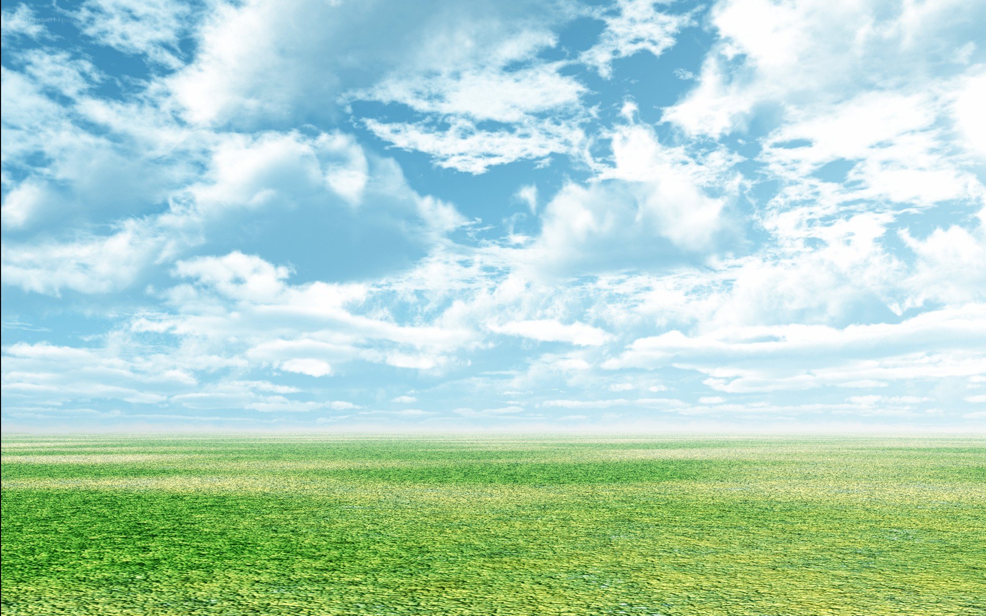 Green field under blue sky