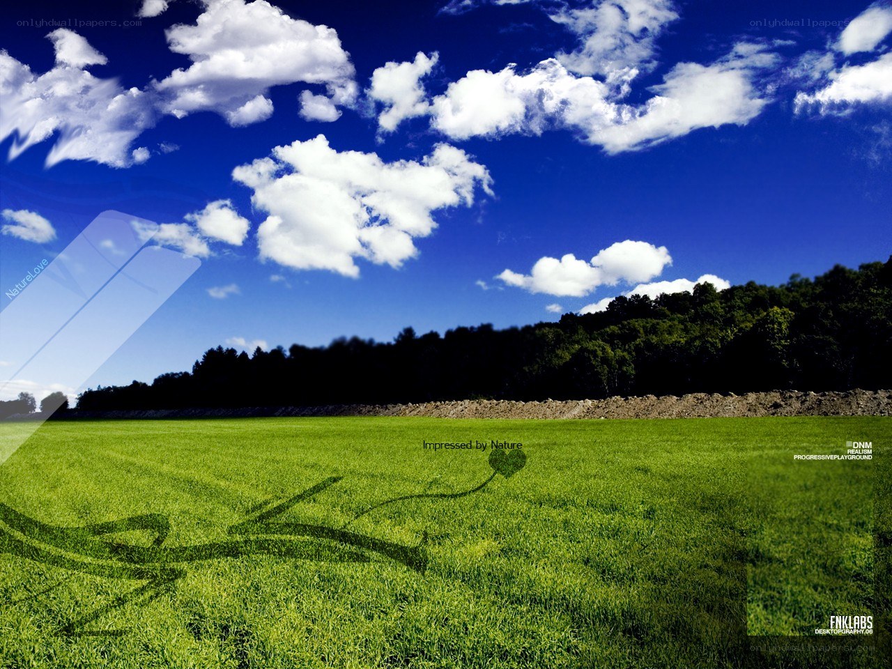 Green Field Under Blue Sky
