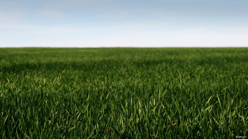 green field under blue sky