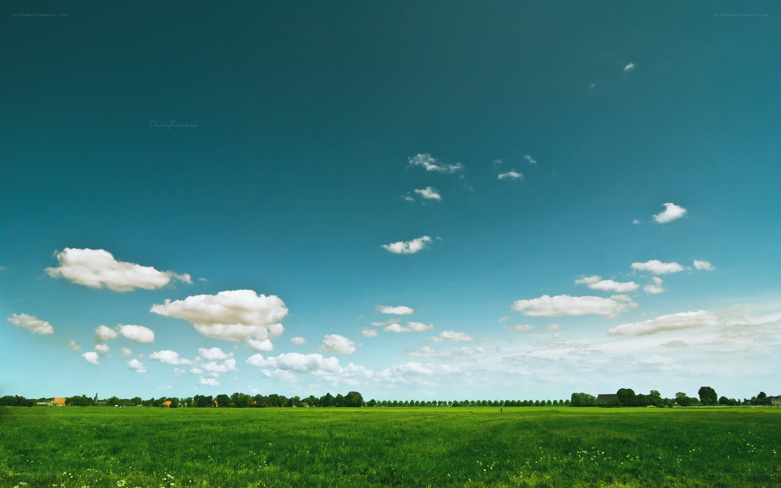 Green field under blue sky