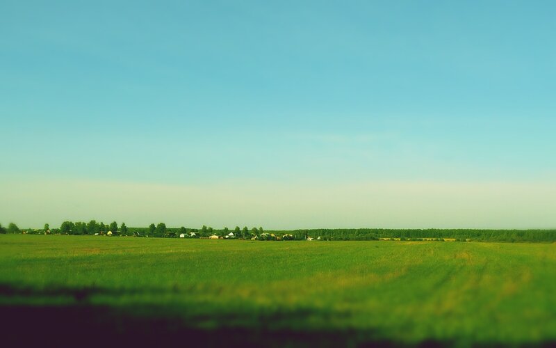 Green field under blue sky