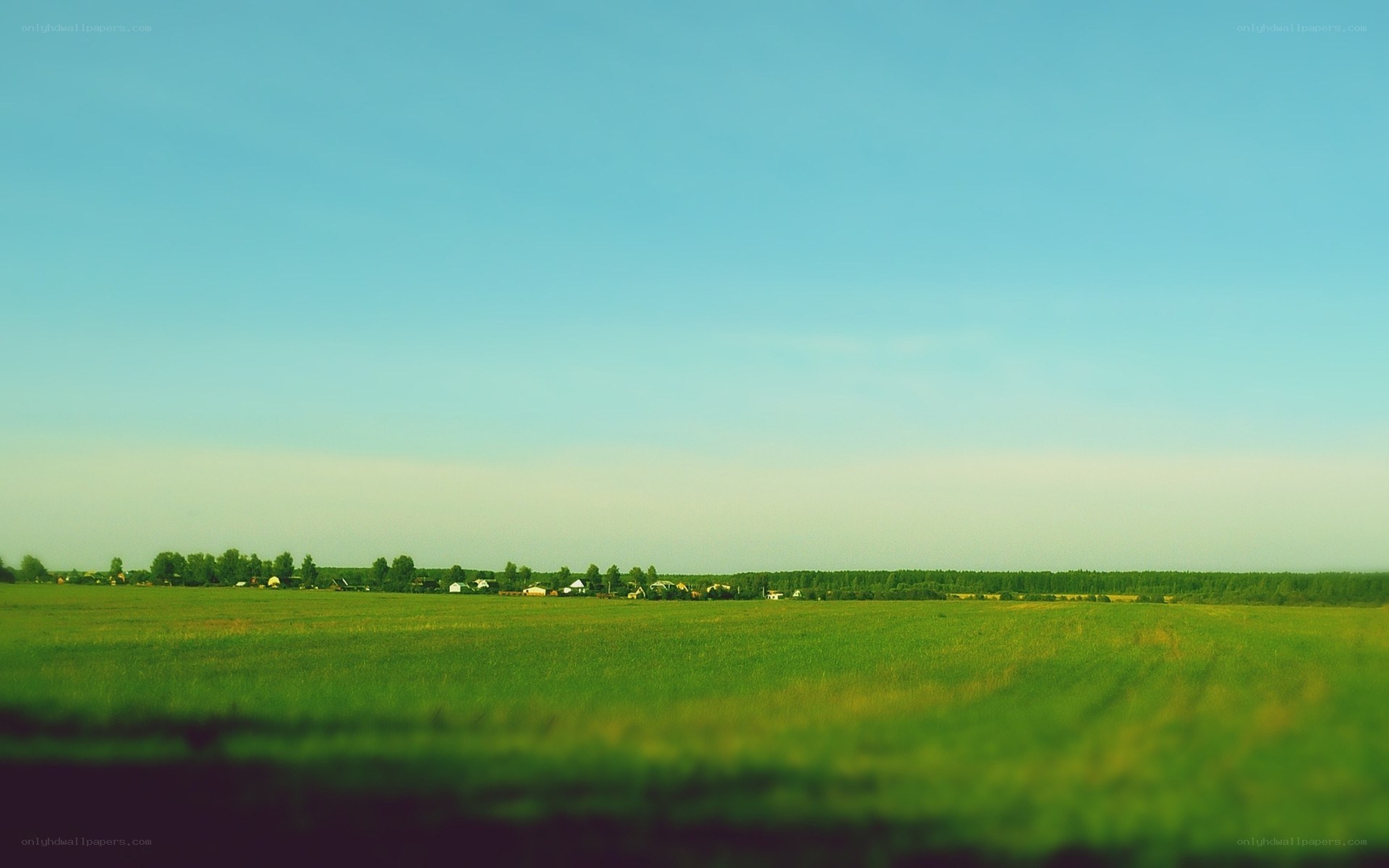 Green field under blue sky