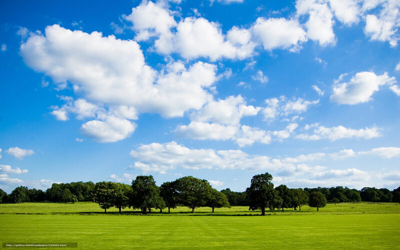 Green field under blue sky