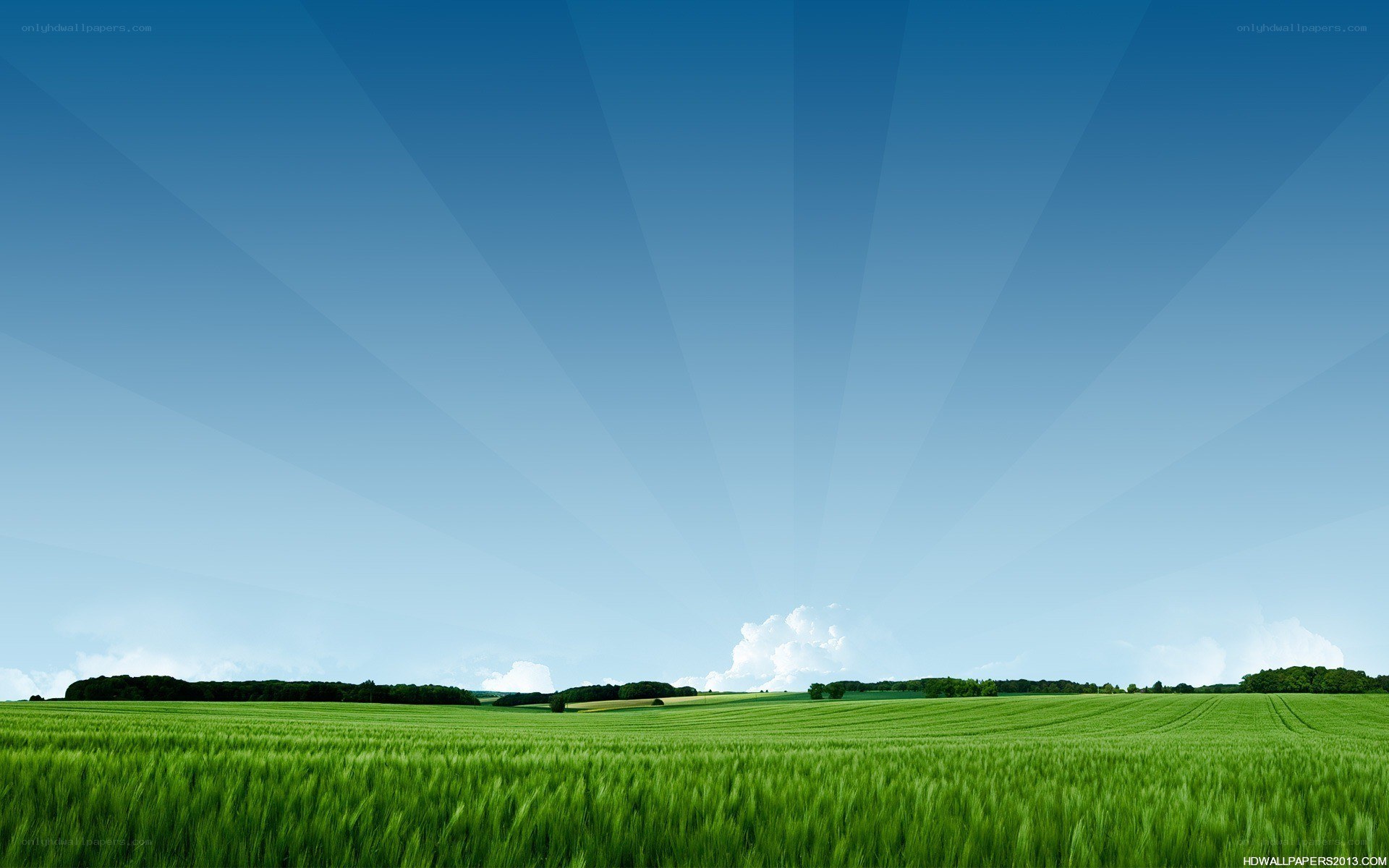 Green field under blue sky