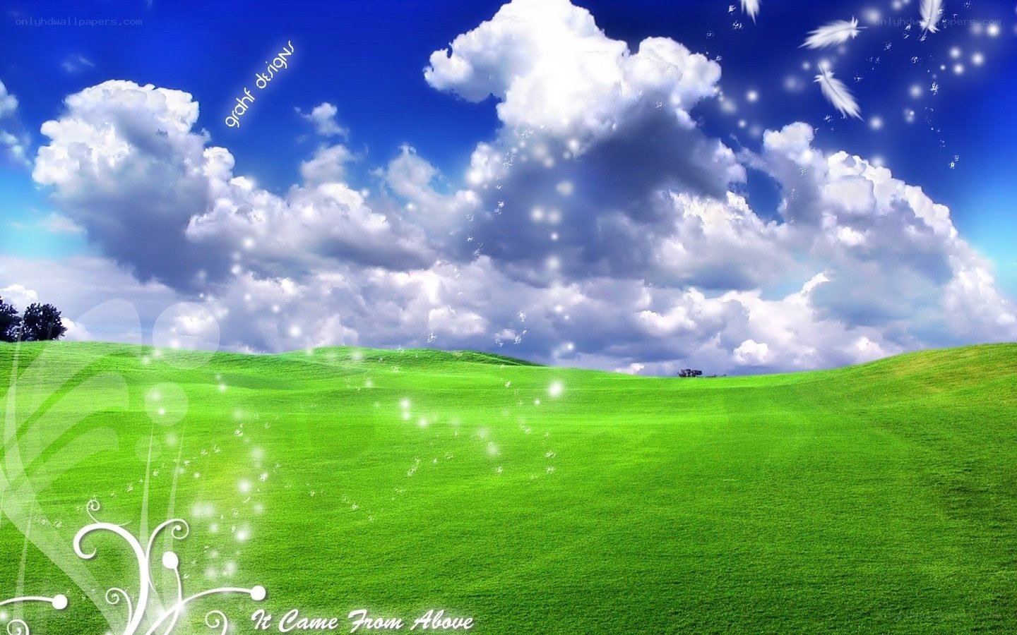 Green field under blue sky