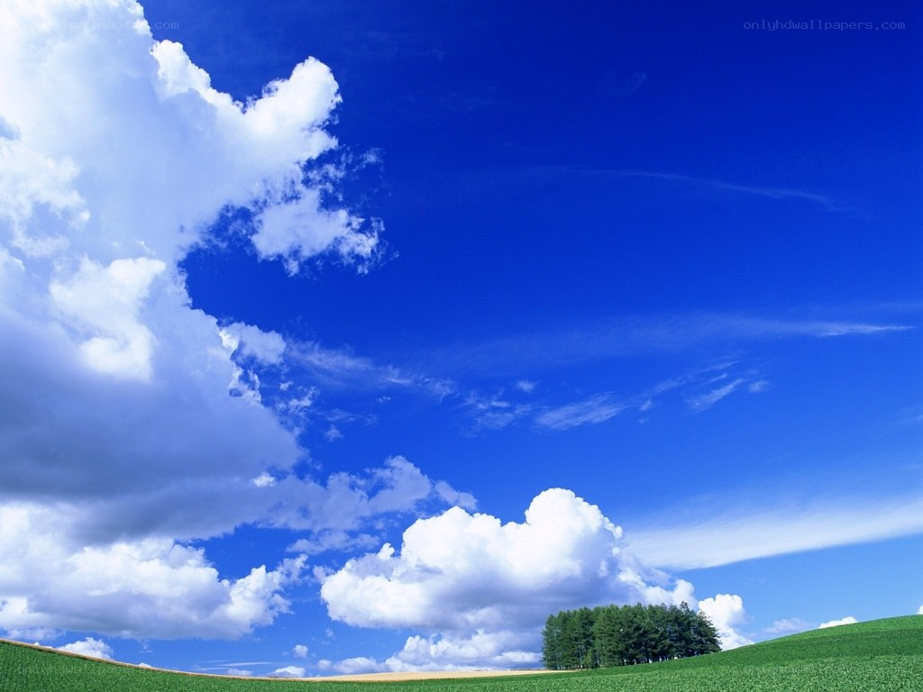 Green field under blue sky