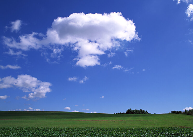 Green field under blue sky