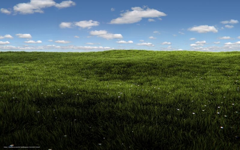 green field under blue sky