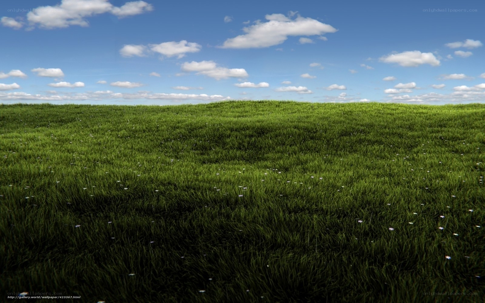 green field under blue sky