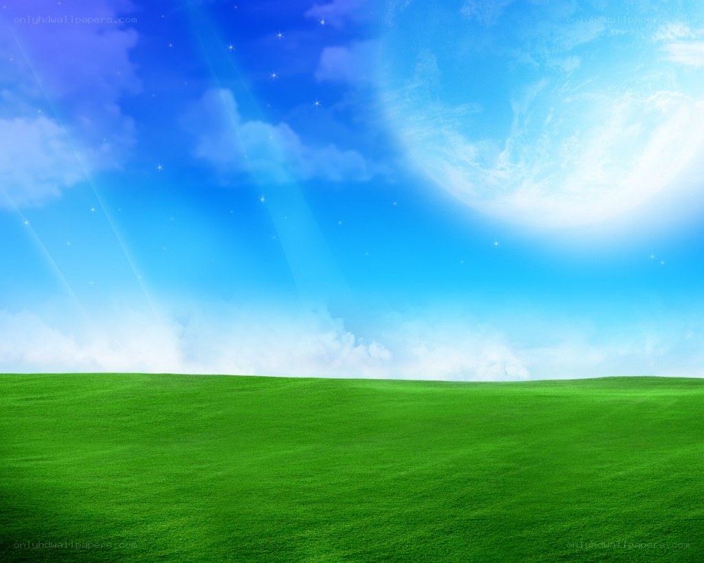 Green field under blue sky