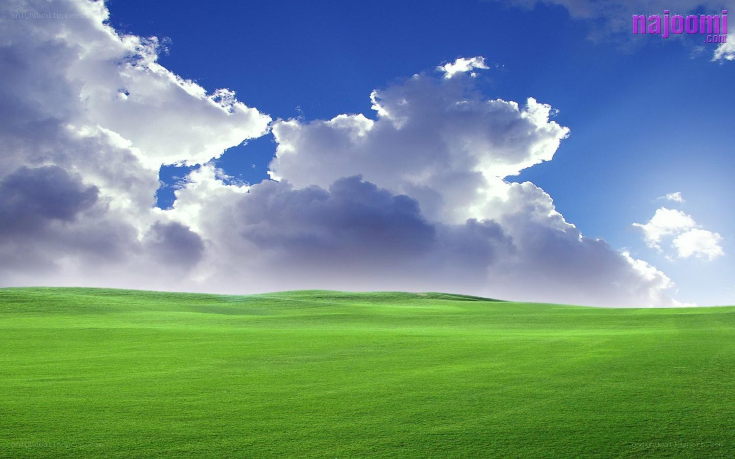 Green field under blue sky