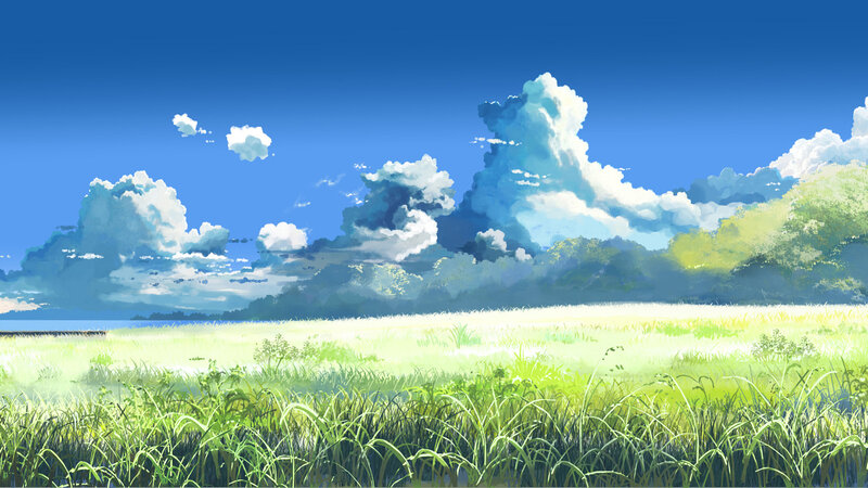 Green field under blue sky