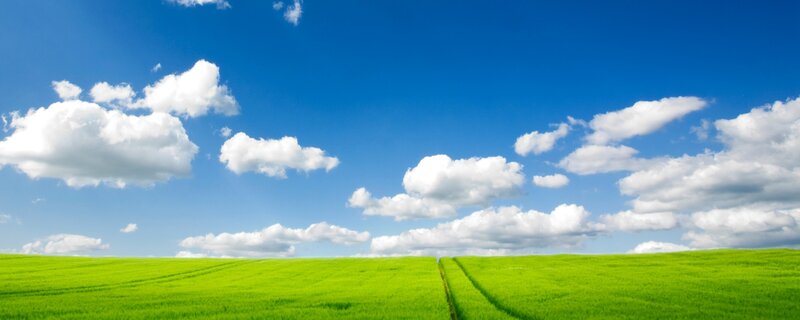 green field under blue sky