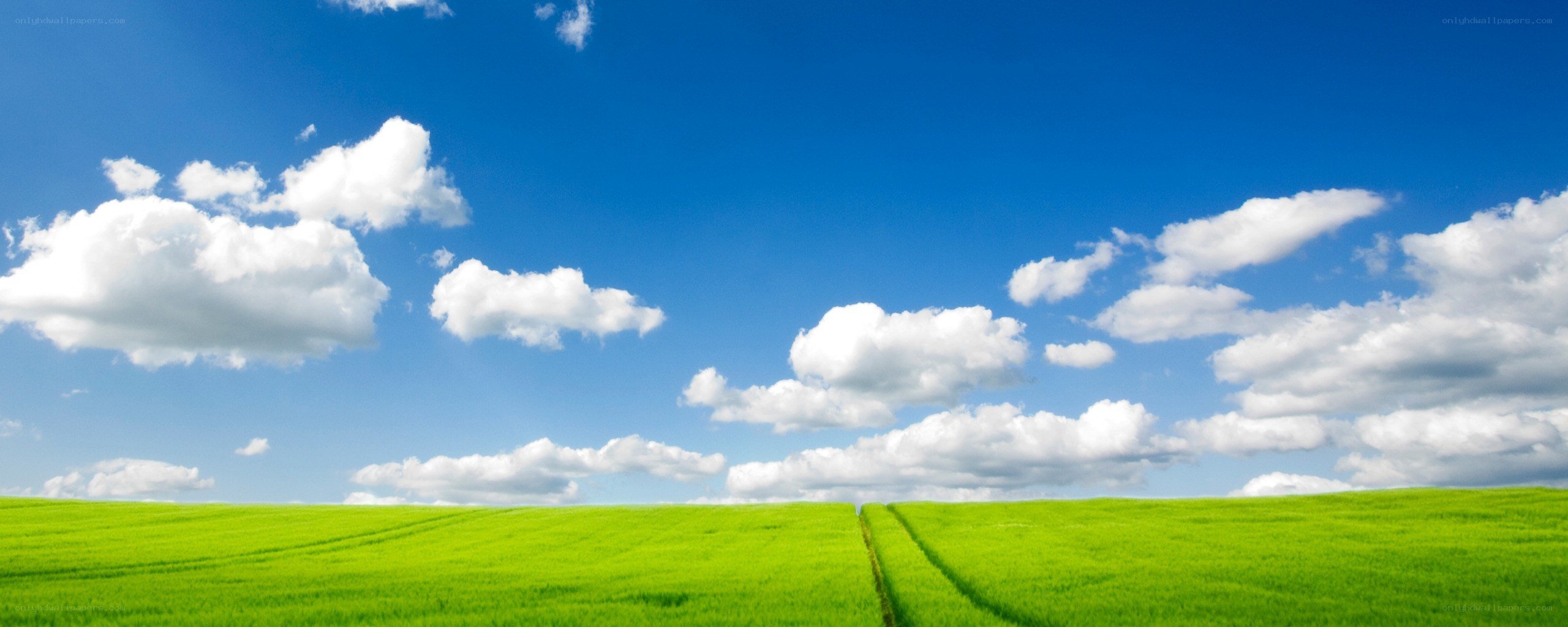 green field under blue sky