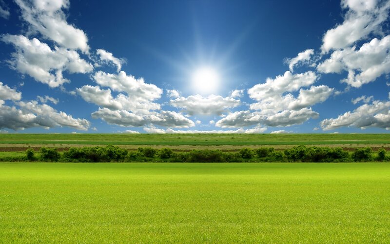 Green Field under Blue Sky — Afternoon, Sun
