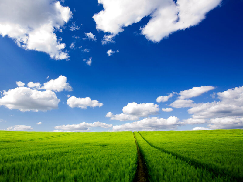 Green Field under Blue Sky — Photograph, Path