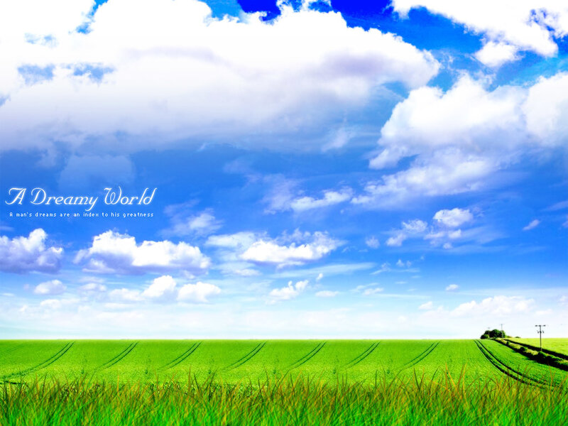 Green Field under Blue Sky — Serene, Afternoon, Photograph, Clouds, Trees, Power Lines
