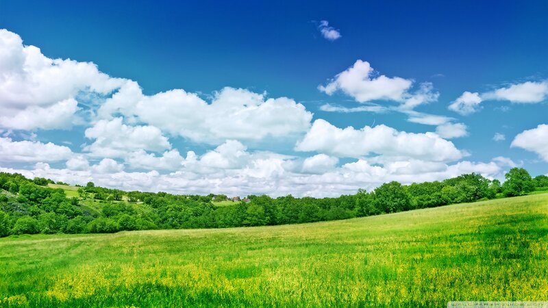 Green Field under Blue Sky — Serene, Afternoon, Photograph, Clouds, Trees