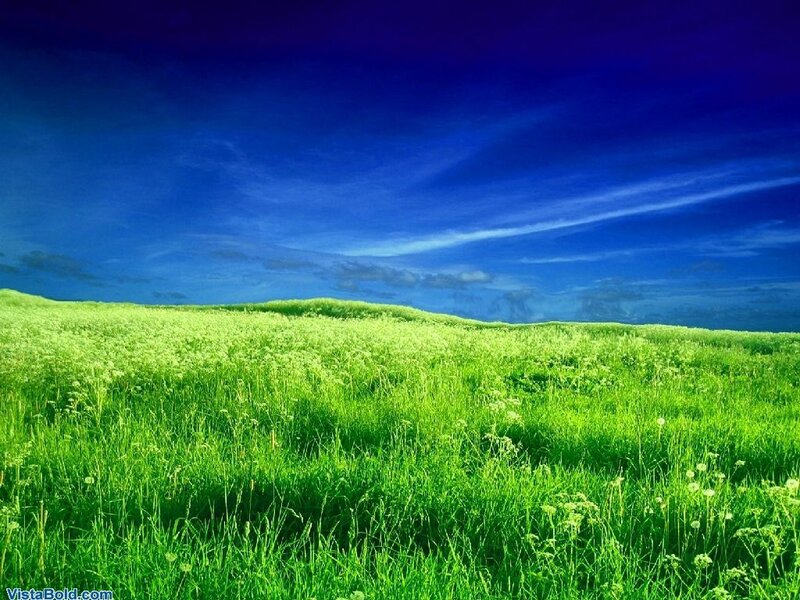 Green Field under Blue Sky — Serene, Afternoon, Photograph, Grass, Clouds