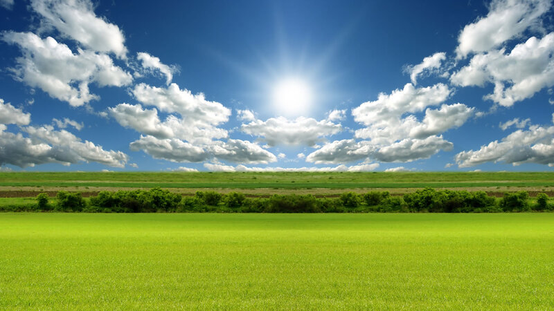 Green Field under Blue Sky — Serene, Afternoon, Photograph, Sun, Clouds, Trees