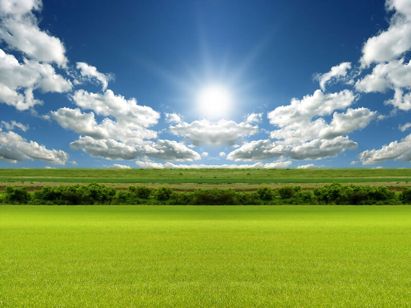 Green Field under Blue Sky — Serene, Afternoon, Photograph, Sun