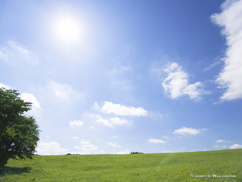 Green Field under Blue Sky — Serene, Afternoon, Photograph, Tree, Sun
