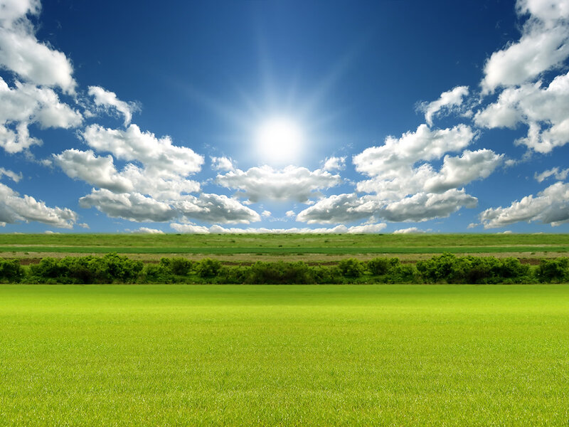 Green Field under Blue Sky — Serene, Afternoon