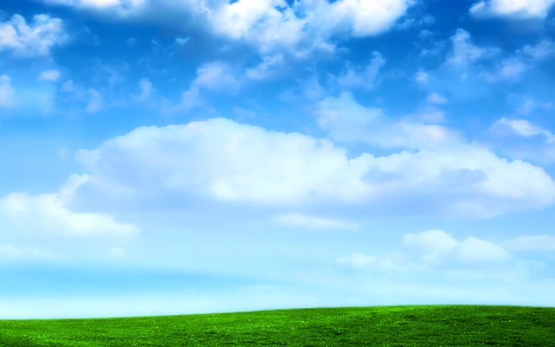 Green Field under Blue Sky — Serene, Daytime